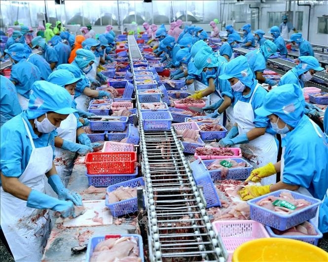 Vietnam’s agro-forestry-fishery exports race past 2024 record in first 11 months